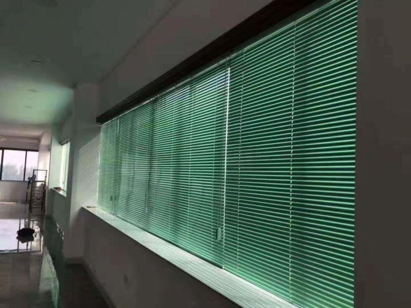 Wood Shutters/Aluminum PVC Venetian Blinds