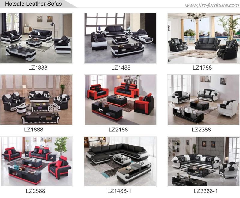 Modular Genuine Leather Best Selling Chinese Furniture with Coffee Table