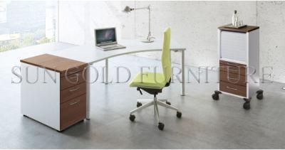 Contemporary Metal Leg Wooden Executive Office Desk Modern Style (SZ-OD605)