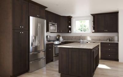 Manufacture American Furniture Kitchen Cabinets for Builder Wholesaler 2020 Trends