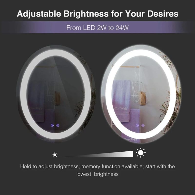 Wall Mounted Backlit Lighted Makeup Oval Shape LED Vanity Bathroom Mirror with Touch Sensor, Dimmable, Warm/White/Gradient Color Temperature