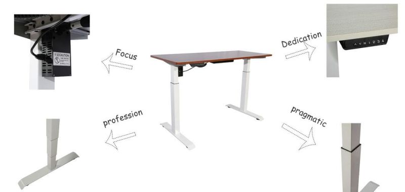 Dual Motors Three Stages Height Adjustable Sit to Stand up Lifting Table (B2301)