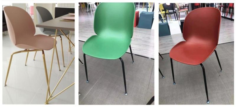 Wholesale Creative Design Casual Western Restaurant Dining Chair Beetle Chair University Canteen Chair Reception Area Chair