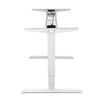 Ergonomic Office Computer Electric Height Adjustable Stand up Desk