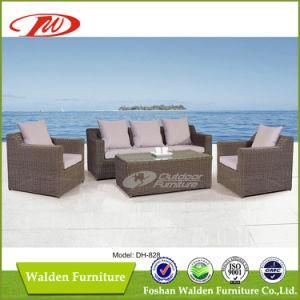 Outdoor Furniture, Garden Furniture (DH-828)