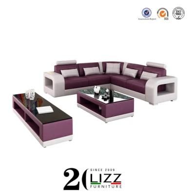 Modern Design New Living Room Sectional Sofa Genuine Leather Sofa