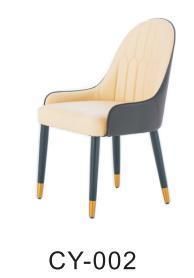 Modern Dining Room Furniture Dinner Chair