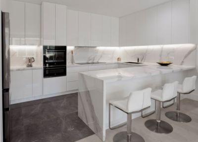 U-Shaped Gloss White Modern Kitchen Open Kitchen Pull out Pantry Kitchen Cabinets