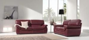 Modern Design Home Furniture Leather Sofa