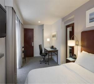 Economical-Type Hotel Furniture for Hampton Inn