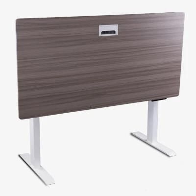 Chinese Factory Direct Sale Practical Dual Motor Electric Study Desk