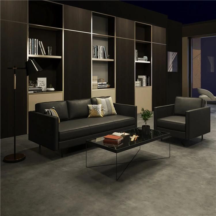 Modern Style Home Furniture Living Room Luxurious Straight Metal Leg Sofa