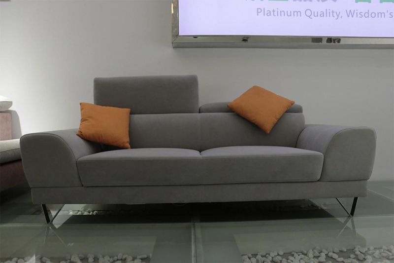 Chinese Wholesale Hot Selling Modern Style Grey 2 Seater Living Room Sofa