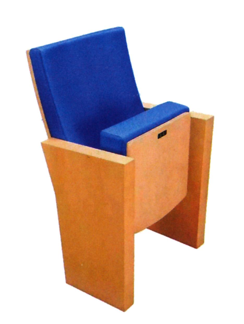 Auditorium School Church Meeting Conference Lecture Theater Cinema Hall Chairs