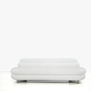 Modern Sofa Home Furniture (I18)