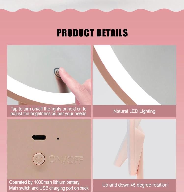 Rechargeable LED Lighted Vanity Makeup Mirror 1X/10X Magnification