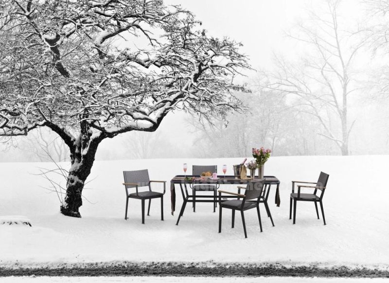 Modern Garden Aluminium PE Rattan Home Dining Set Outdoor Furniture