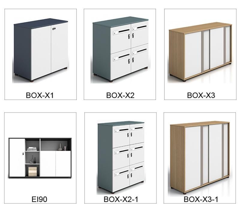 High Quality Modern Design Office Furniture Two Doors File Cabinet