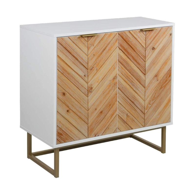 Modern Storage Free Standing Accent Cabinet with Doors