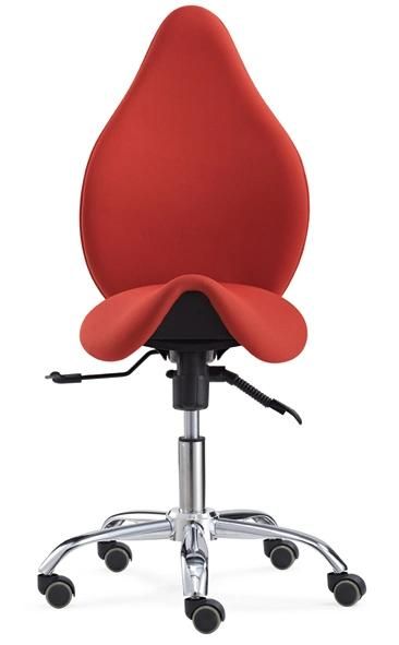 Adjustable Ergonomic Saddle Seat Stool with Backrest Office Chair