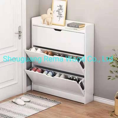 Modern Shoe Rack Shoe Cabinet Shoe Storage Cabinet for Living Room