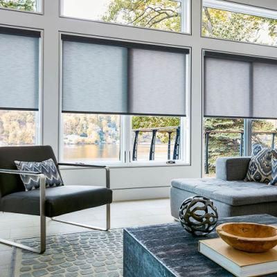 Roller Shades Roller Manual Fabric Blackout Blinds Motorized Blinds