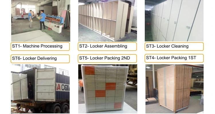 Professional Factory Storage Cabinet Locker for Students and Staffs