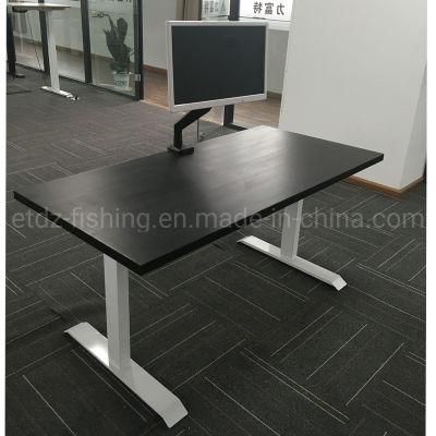 Office Modern Desk Height Adjustable Computer Executive Desk