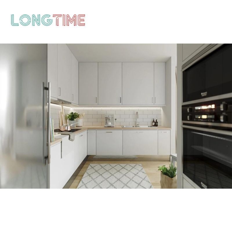 Apartment Kitchen & Vanity Design White Lacquer Kitchen Cabinets