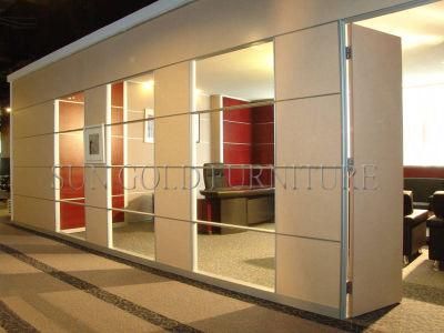 Modern Cladding Panel Room Divider Wall Office Demountable Partitions (SZ-WS621)