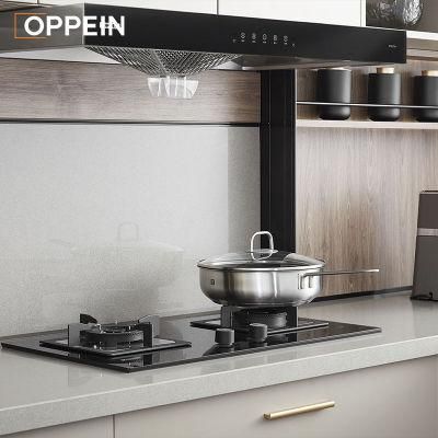 New Trend Modern Commercial Affordable Price Lacquer Finish Kitchen Cabinet