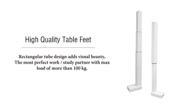 Memory Function Three Tube Double Motor Double Column Lifting Table