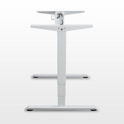 Modern Durable Metal Quiet Stand Desk Only for B2b