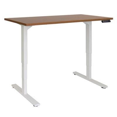 Wholesaler Price Dual Motors Electric Height Adjustable Desk Sit Stand Office Desk