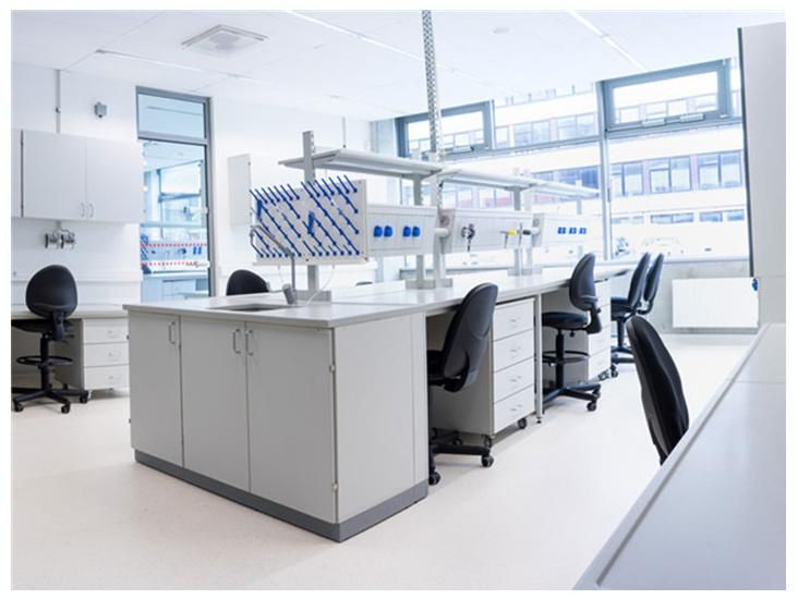 High Quality Best Price Hospital Steel Lab Furniture with Sink, Wholesale Custom Physical Steel Lab Bench with Liner/