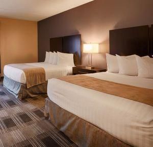 High Level Quality Gurranted Hotel Furniture for Best Western