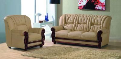 Modern Design Furniture Living Room Sofa Set for Living Room