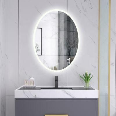 Miclion Smart Lighting Home Decorative Custom Oval LED Bathroom Mirror