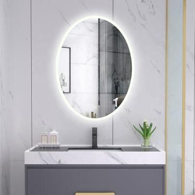 Miclion Smart Lighting Home Decorative Custom Oval LED Bathroom Mirror