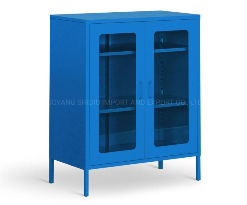 Glass 2 Doors Storage Accent Cabinets with Adjustable Shelves for Living Room
