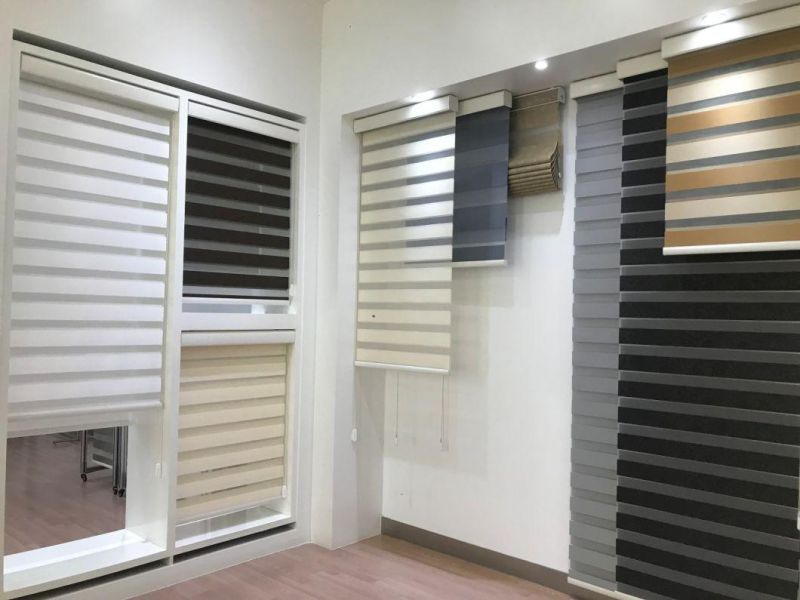 Roller Shades Roller Manual Fabric Blackout Blinds Motorized Blinds