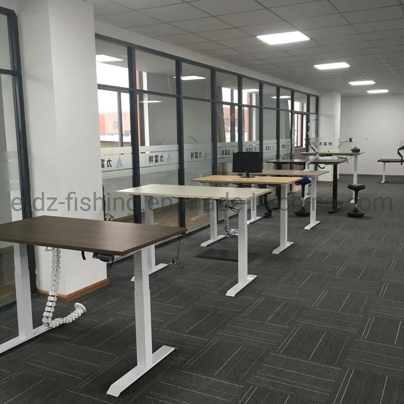 Sit and Standing Modern Office Desk Height Adjustable Computer Desk