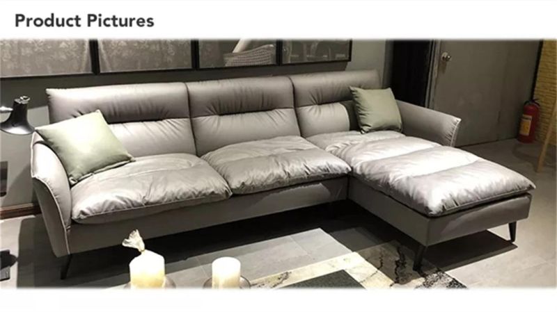 Foshan Wholesale Price New Design Genuine Leather Modern Living Room Home Sofa Set Wooden House Bedroom Takt Alias Furniture