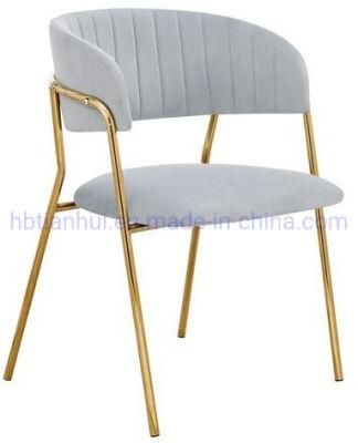 Modern Hot Sale Furniture Popular Shining Golden Legs Dining Chair