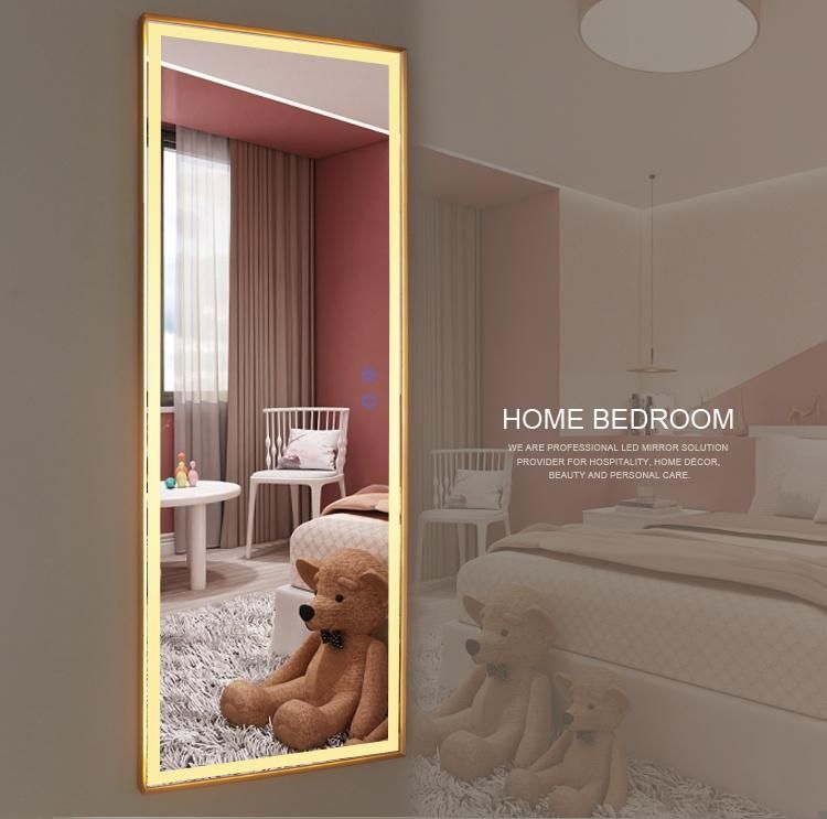 Decor Wall-Mounted 135.5X50.5cm Large Size LED Lights Full Length Mirror