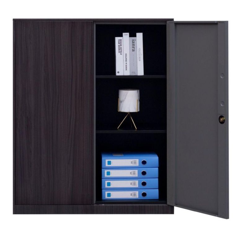 Modern Simple 2 Door Office Storage Furniture Steel Transfer Printing Metal File Cabinet with Lock