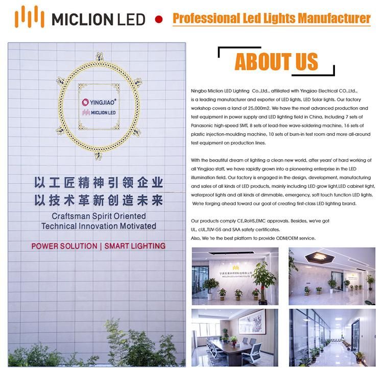 Anti-Fog Smart Mirror Illuminated LED Bathroom Mirror China Supplier