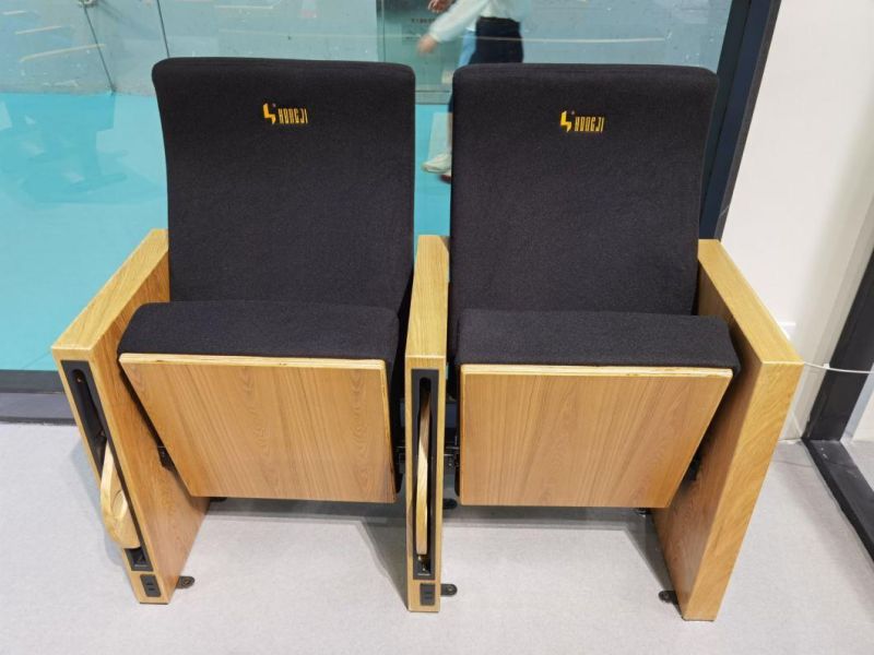 Conference Lecture Hall Cinema Public Stadium Auditorium Church Theater Seat