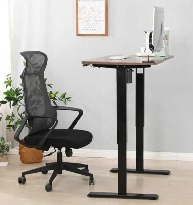 Modern Western Style Exquisite Design Table Ergonomic Height Adjustable Office Electric Automatic Executive Desk