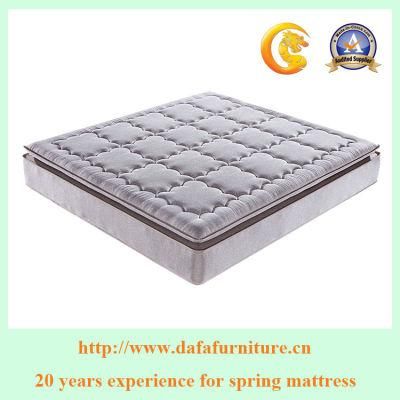 Foshan City Mattress Manufacturers Bedroom Modern Style Mattress